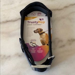 DOG COLLAR with built in leash